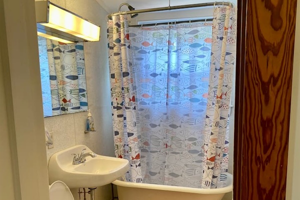 3rd Story Bath with historical mini clawfoot tub!