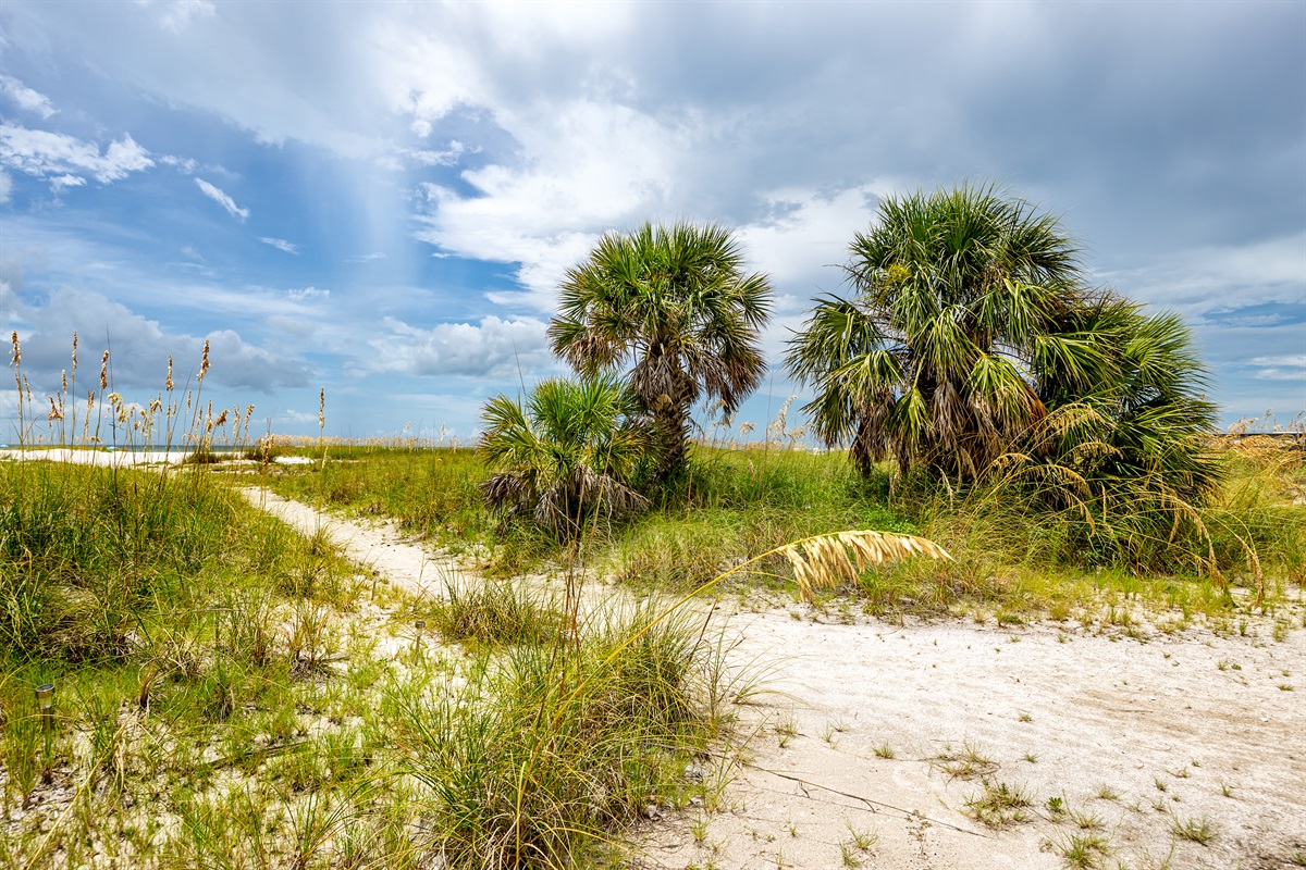 Beautiful Natural Beach Paths