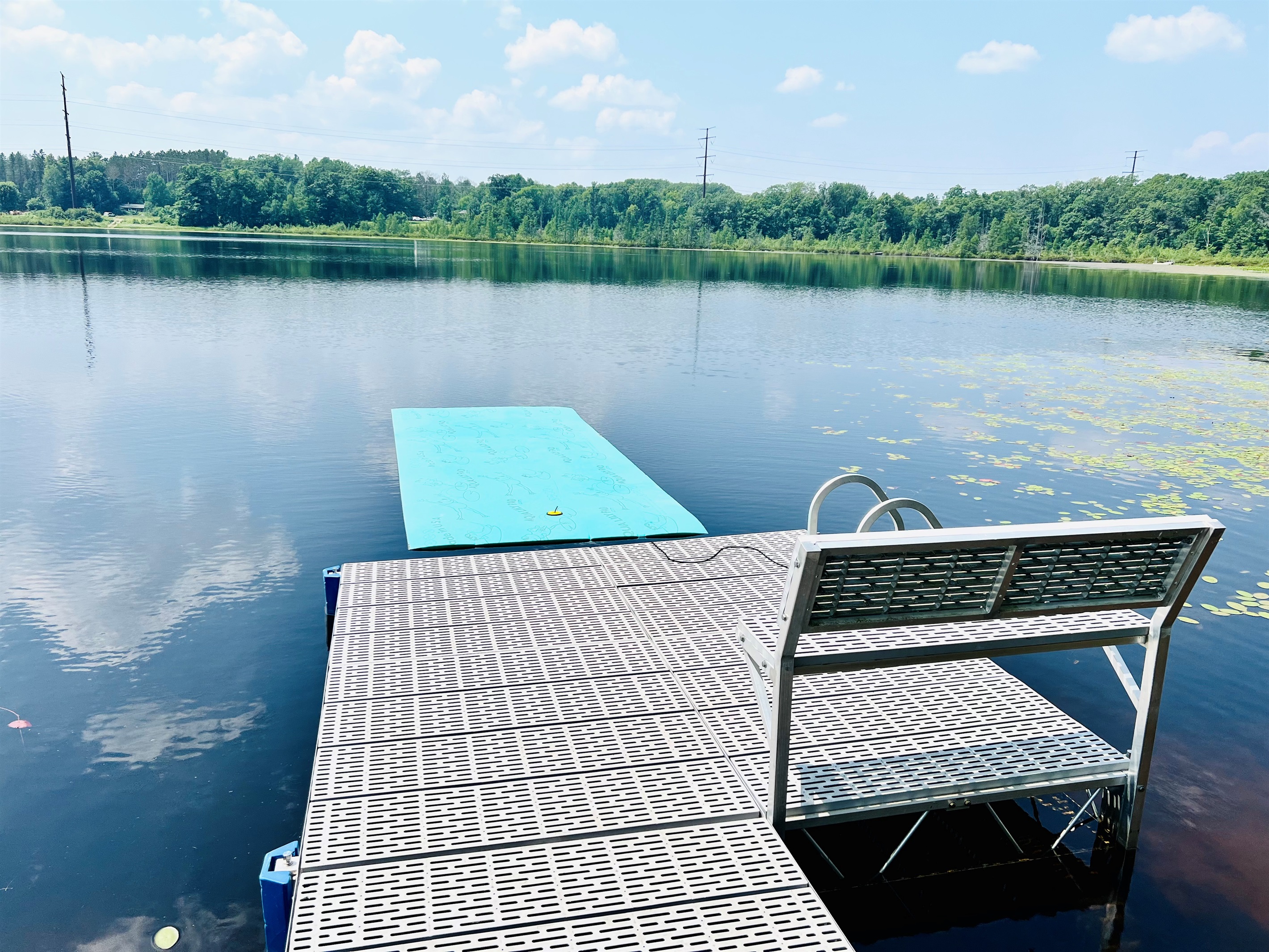 We have a Lilly Pad too! Kids will love playing on it!