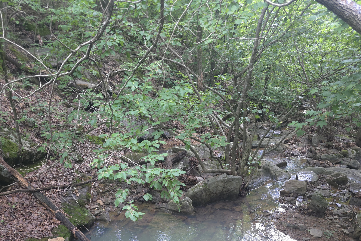 Waterfall next to cabin