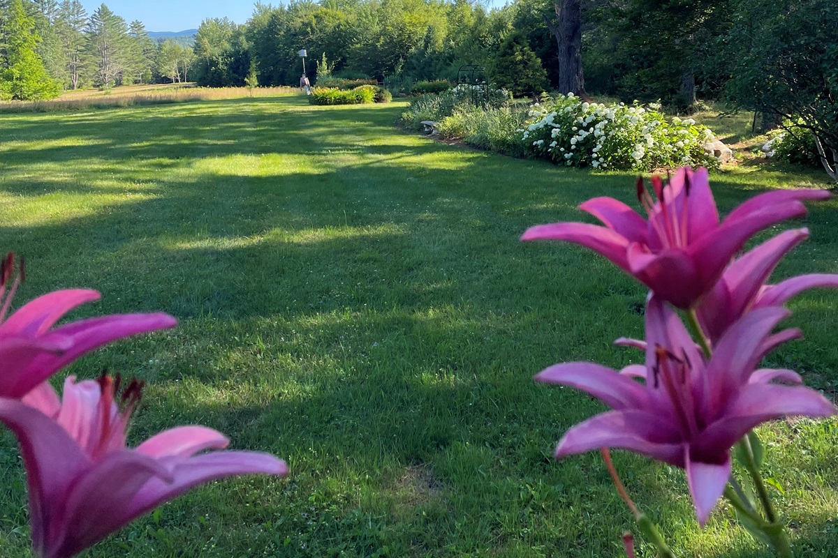 Expansive yard and mountain views