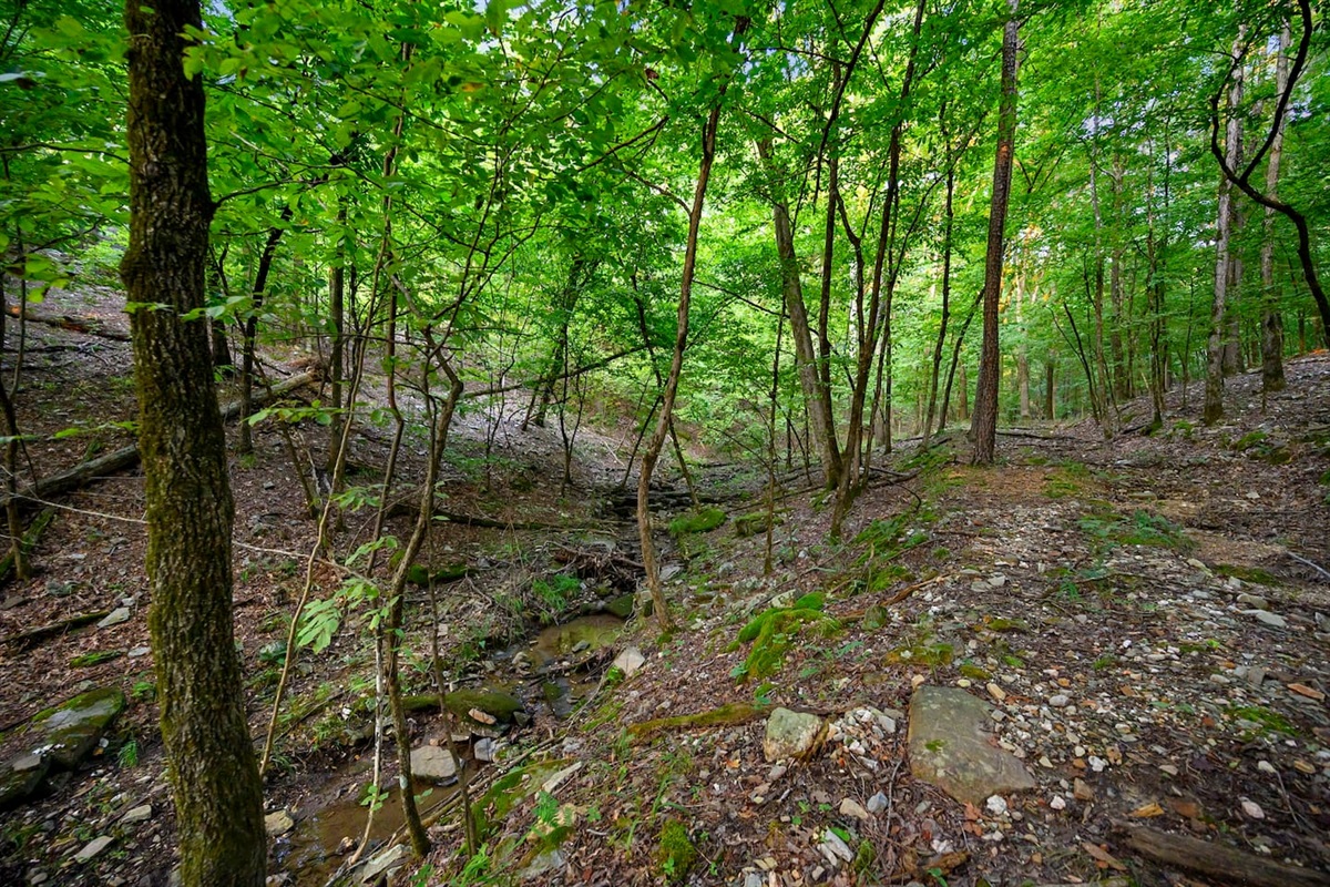 Creek area is so cool.