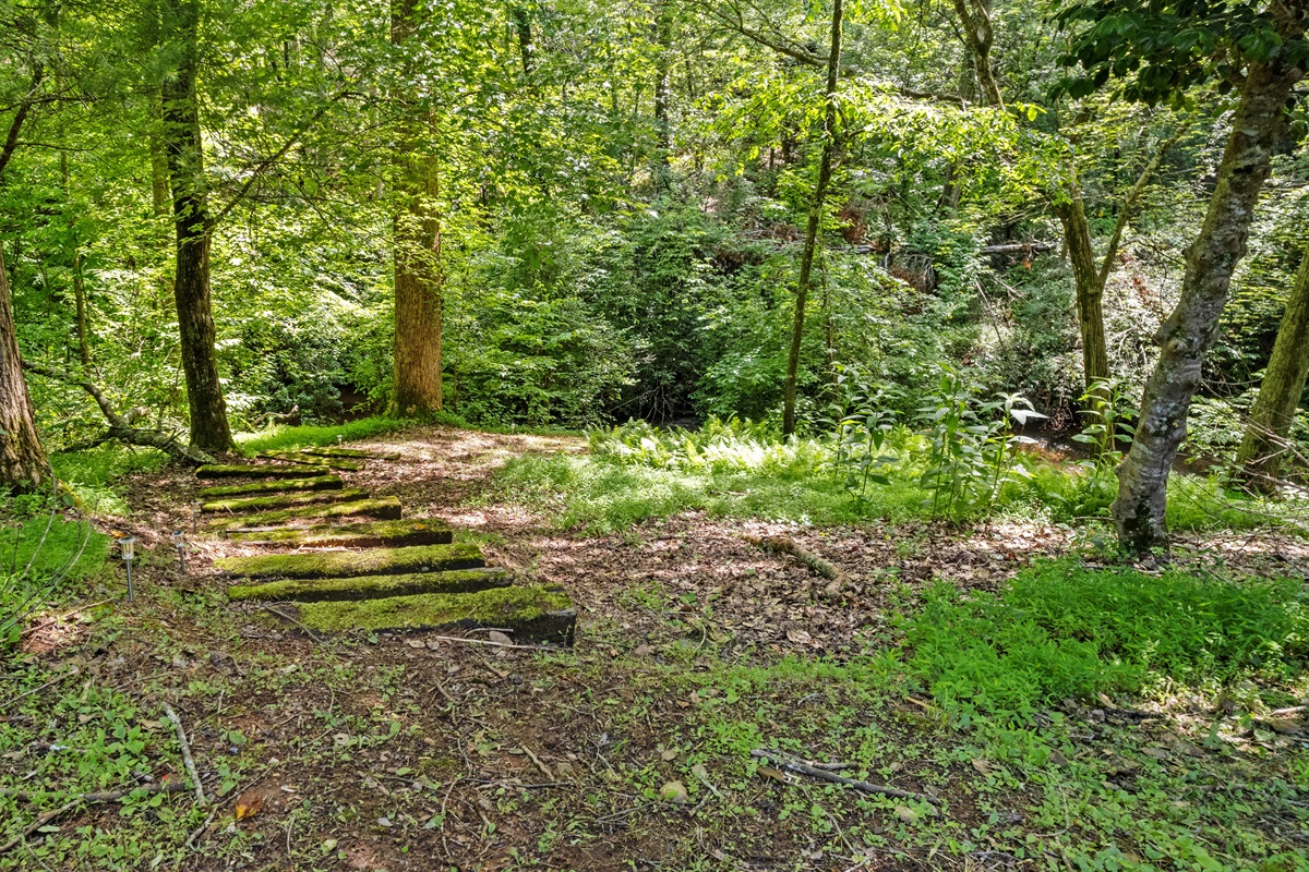 Stairs leading down to the creek