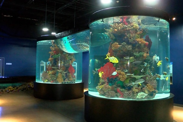 Electric City Aquarium