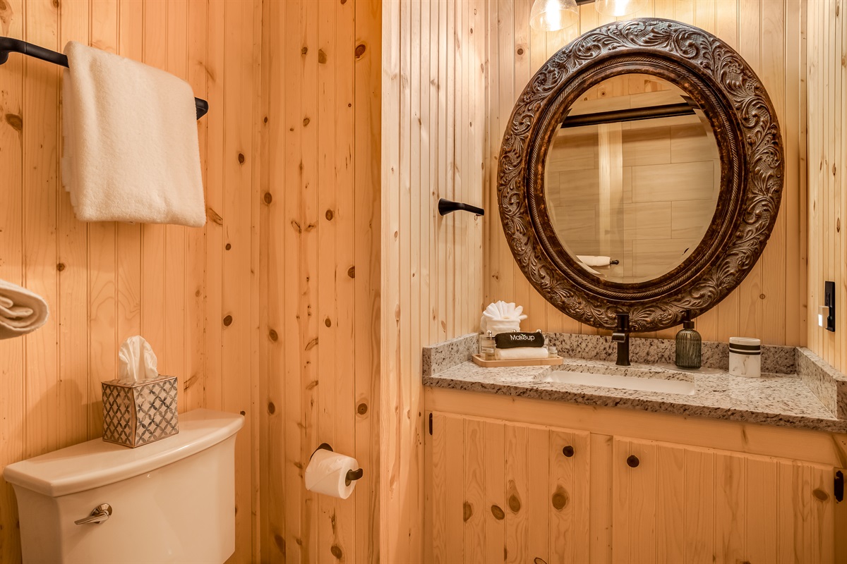 Lower level bathroom