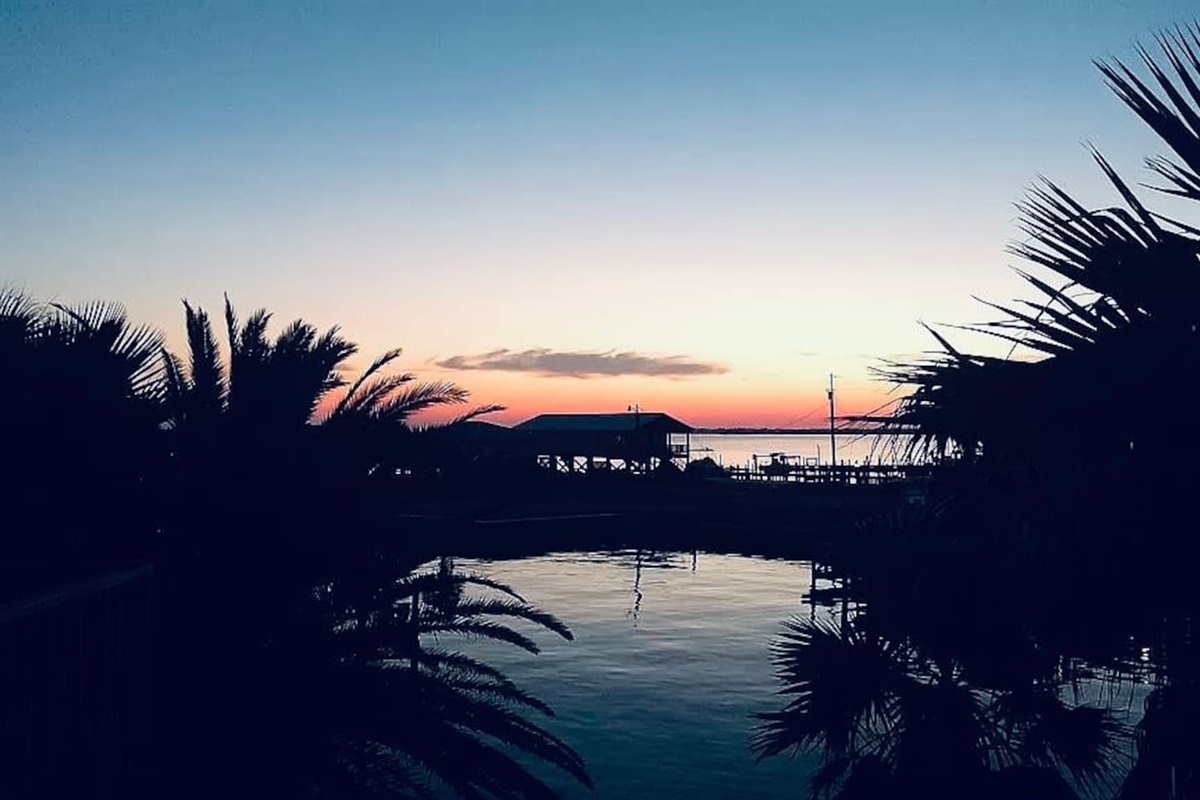 Sunset View: Unwind as vibrant hues illuminate the waters, framed by swaying palm trees!