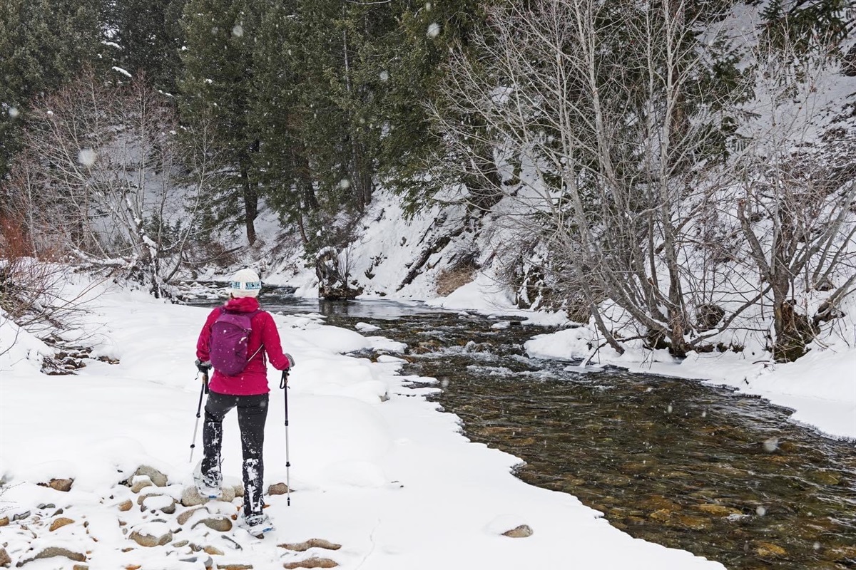 Cross-country/snowshoeing