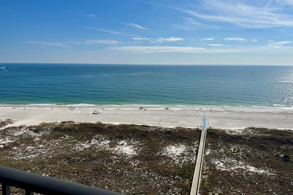From dolphins to parasailing, there's so much to take in from this gorgeous view of the Gulf Coast!