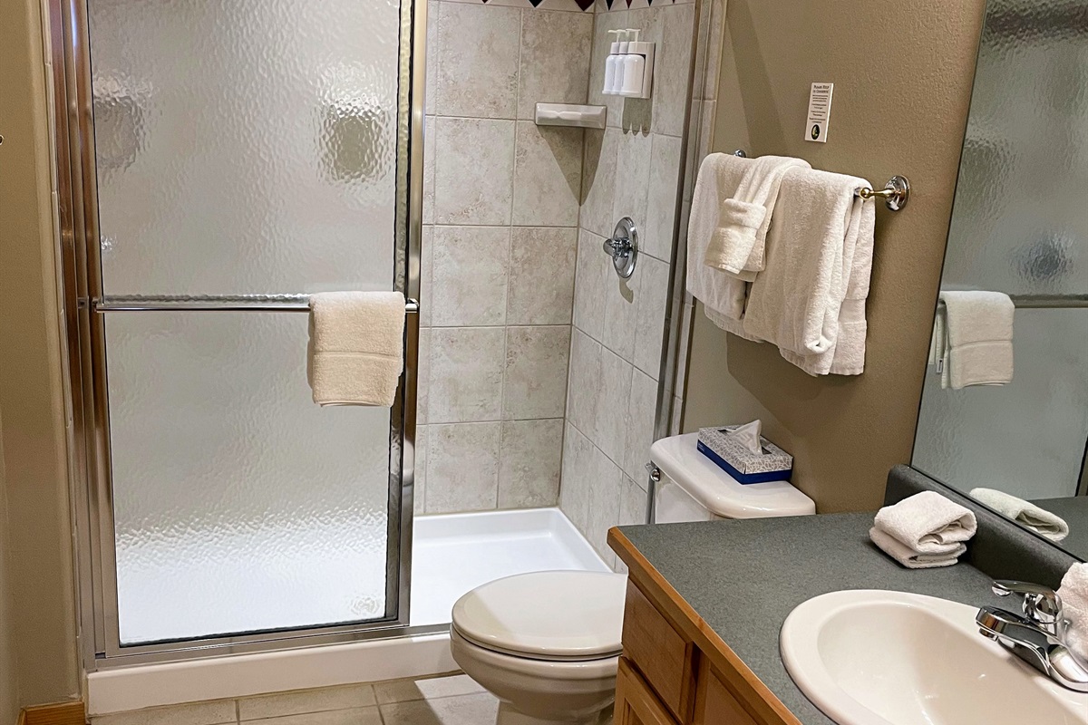 Master bathroom shower