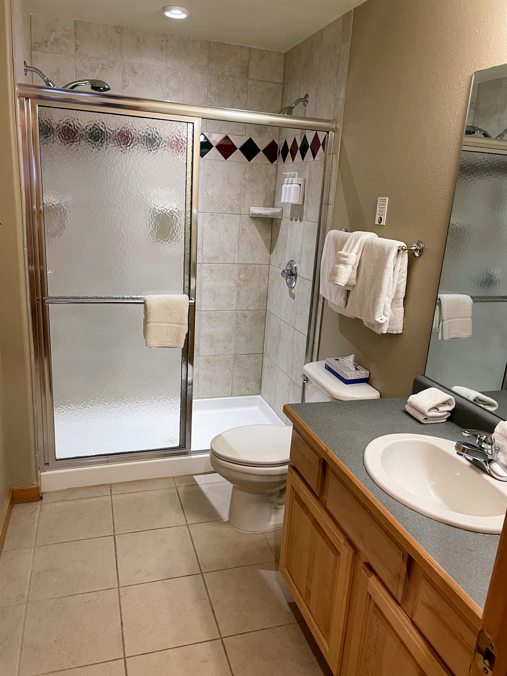 Master bathroom shower