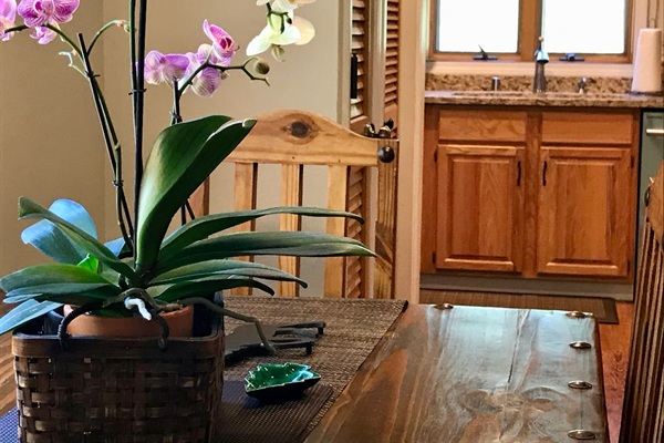 Reliable high-speed internet, and a comfortable dining table suitable for laptop work.