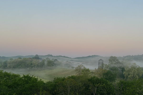 Catch the fog burning off over the pasture as the sun begins to rise.