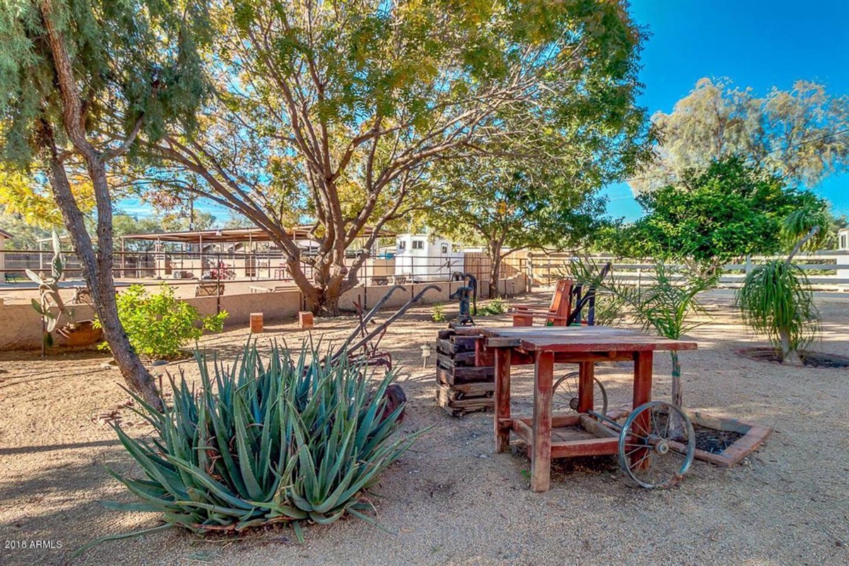 Large yard with desert landscaping and horse property