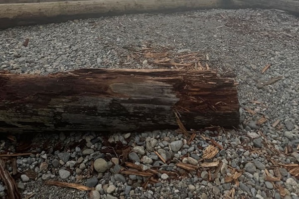 Ambleside Beach nearby 