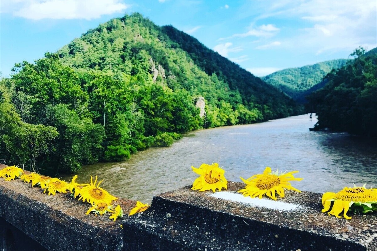 French Broad River Bridge looking towards Lovers Leap Trail
