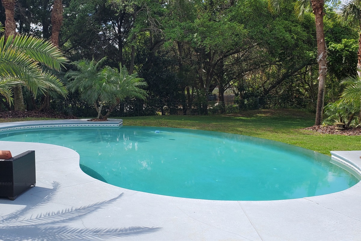 Infinity edge pool and fenced in backyard