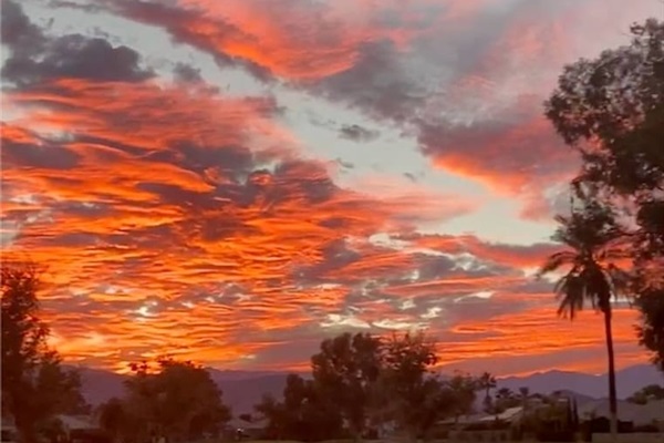 Backyard Sunset 