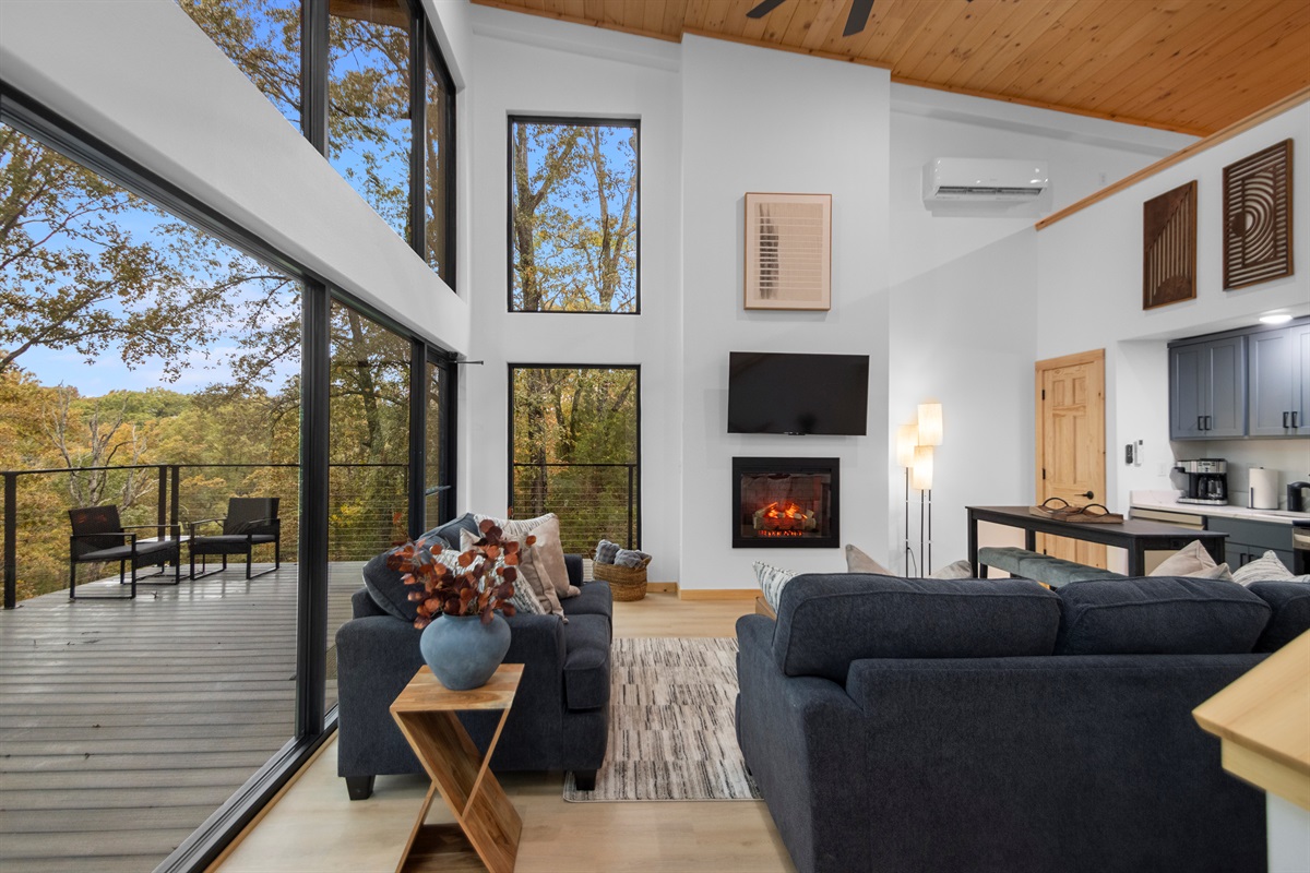 Living Room Fire Place