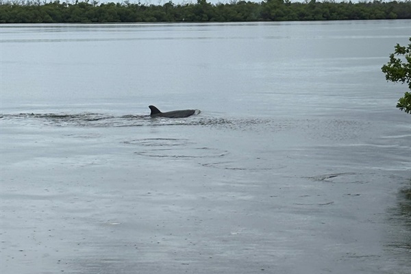 And yet another neighbor doing some fishing