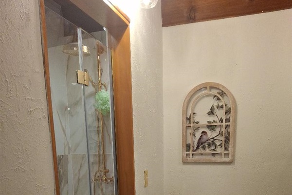 Garden Room adjustable rain shower.