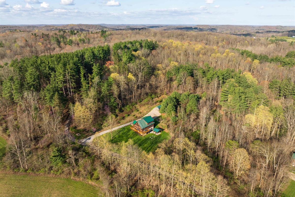 Aerial view of The Lodge