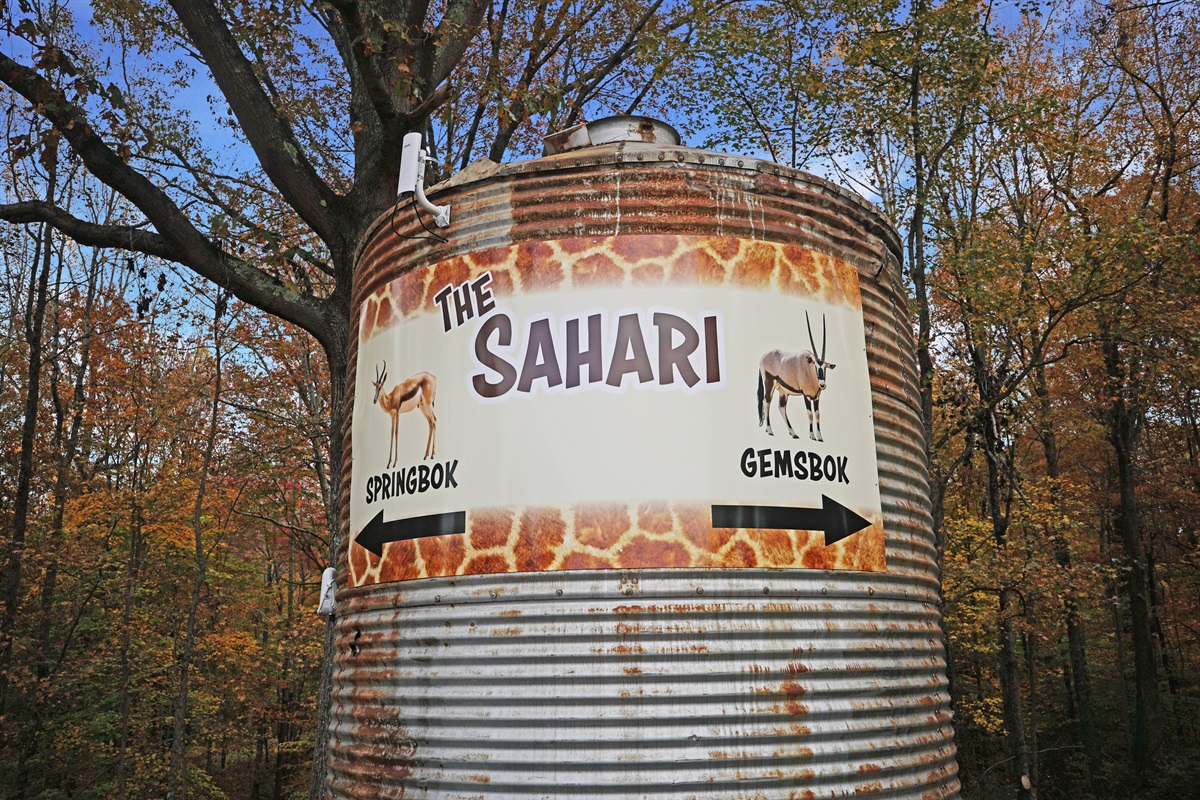 Follow the trail toward the Gemsbok, your adventure starts this way!