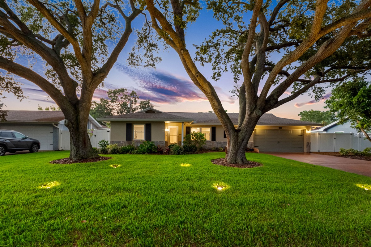 Front Yard