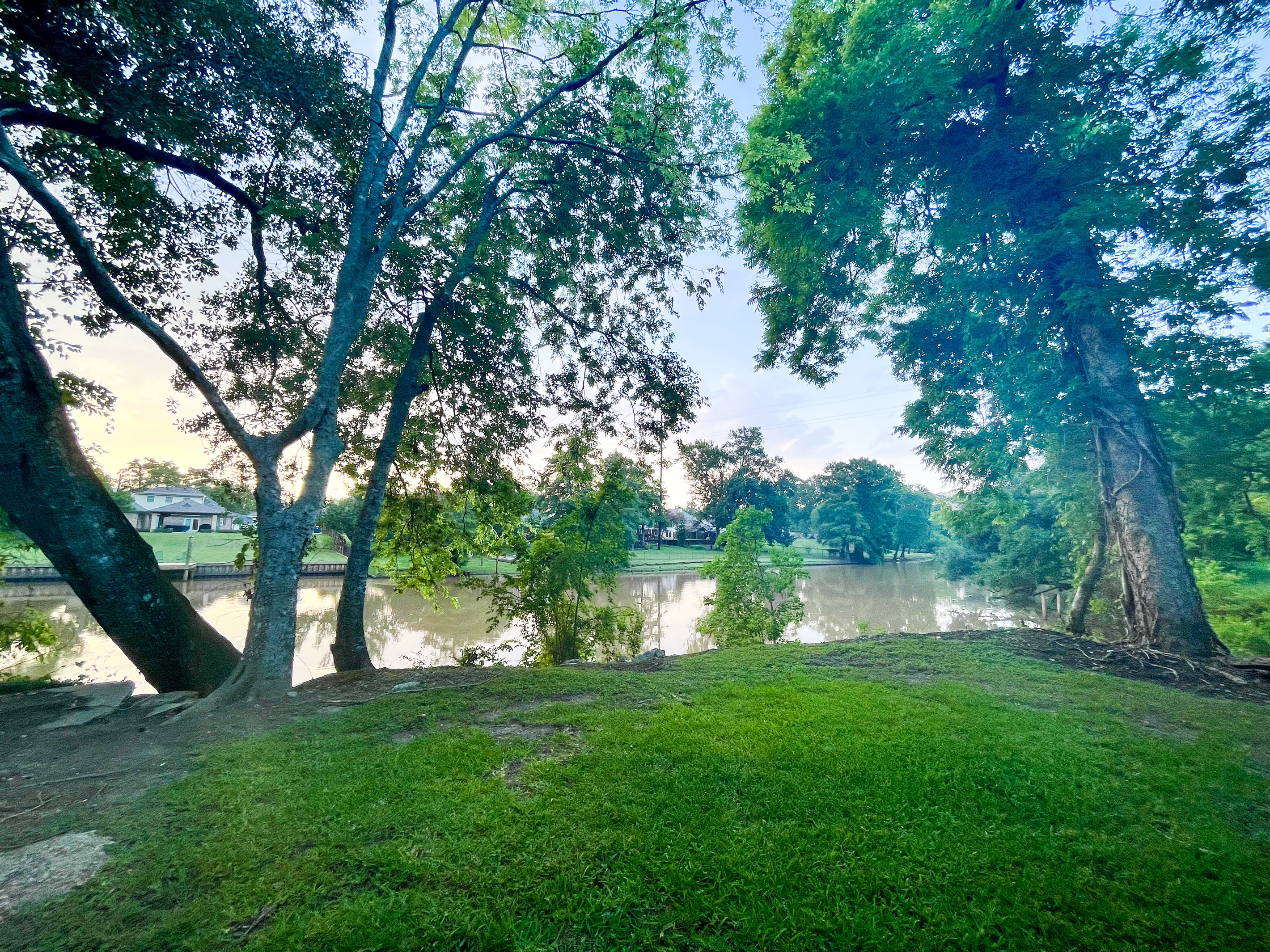 Nature watching of birds, squirrels and more!