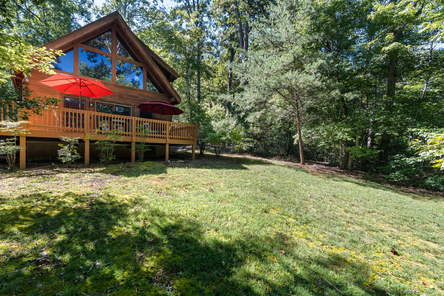 Spacious backyard 