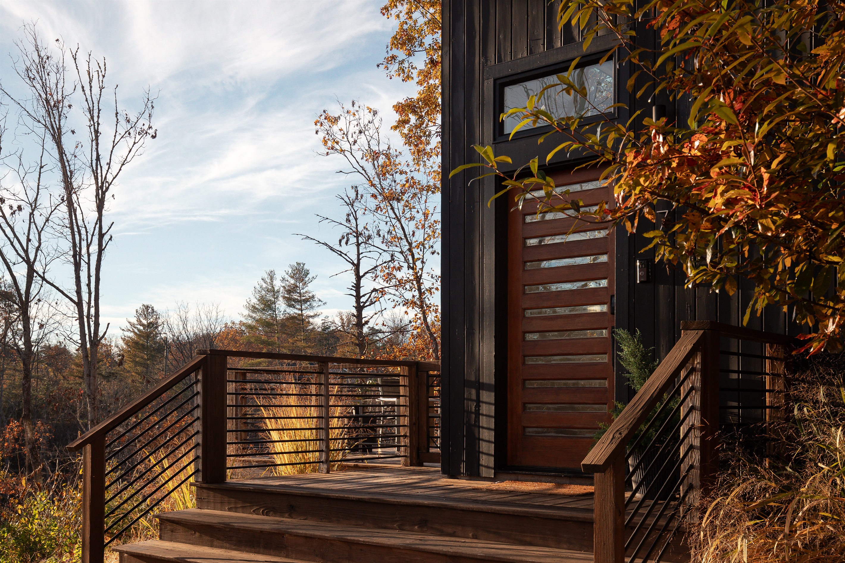 {Entryway} Your arrival moment: mountains and treetops greeting you at the front door.
