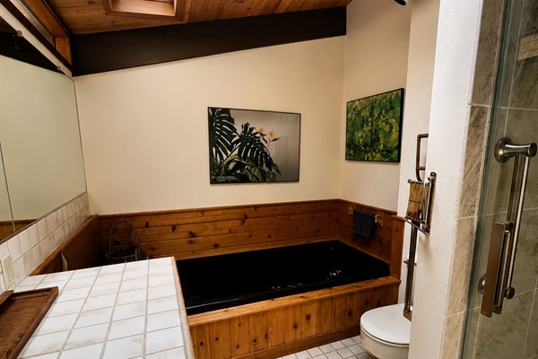 Master Jacuzzi tub and walkin Shower