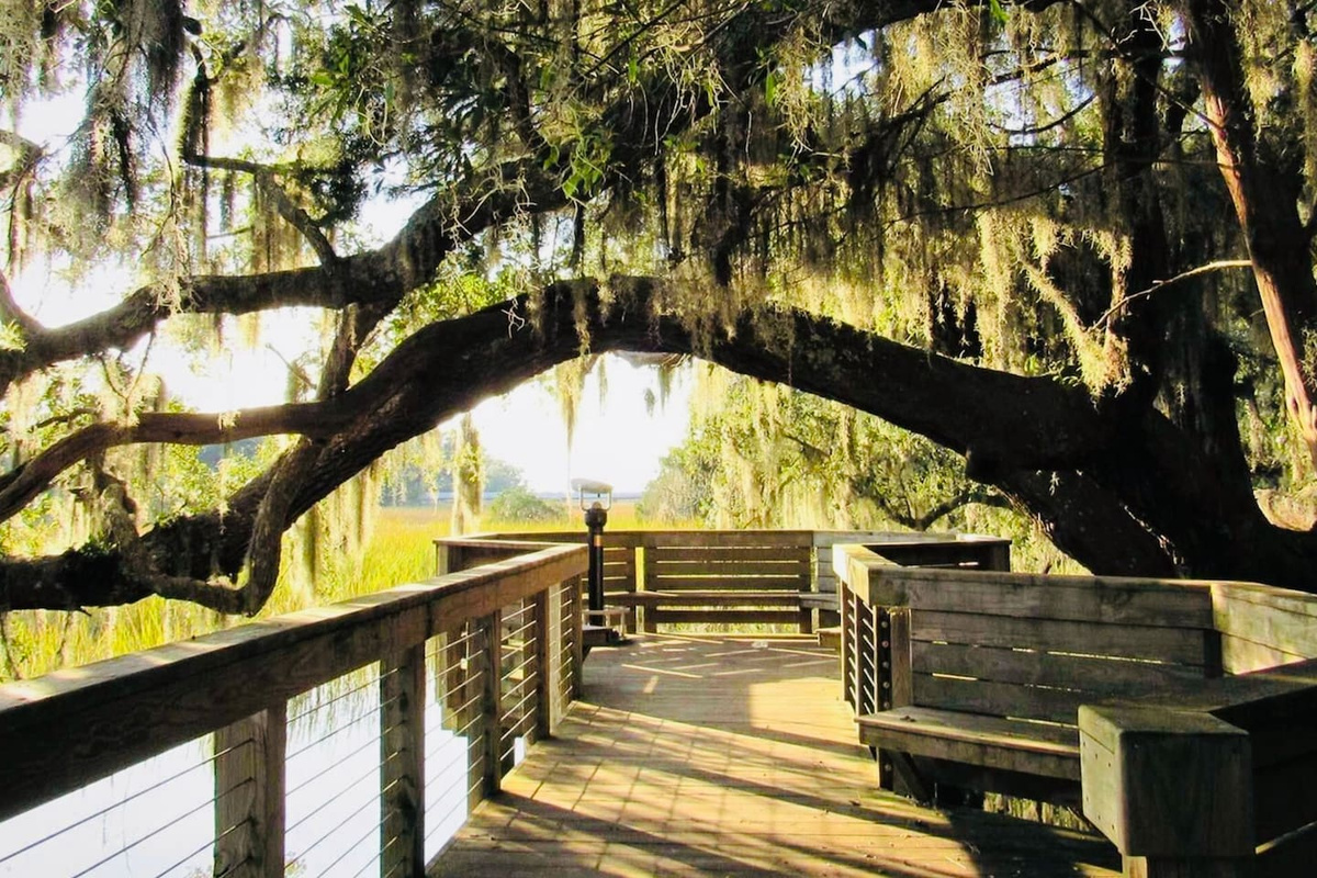 Boardwalk under live oaks