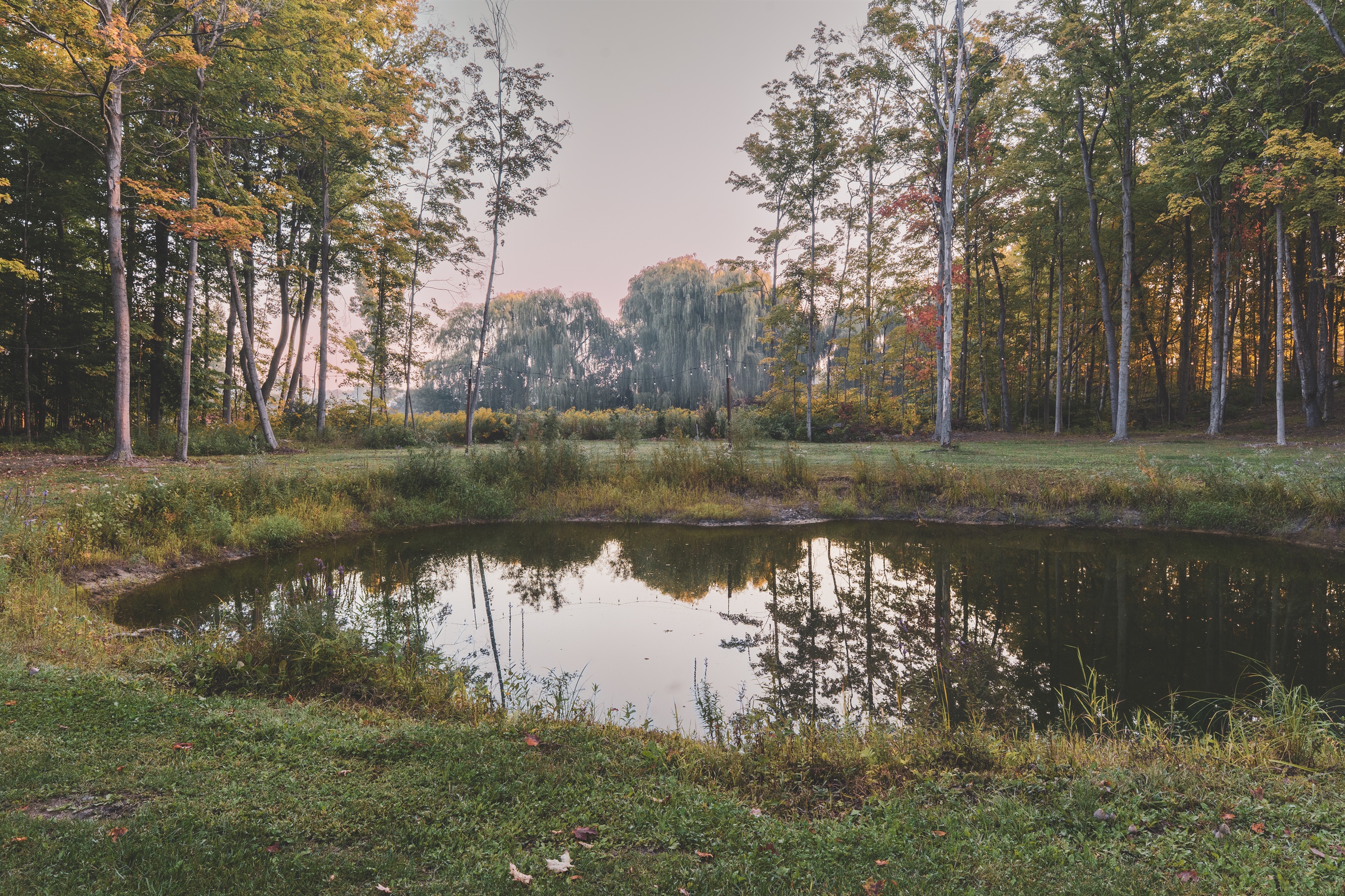 Moody fall pond