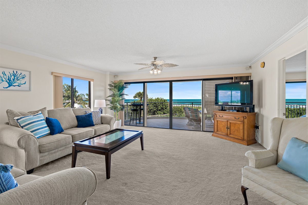 Large, Light and Bright Living Space