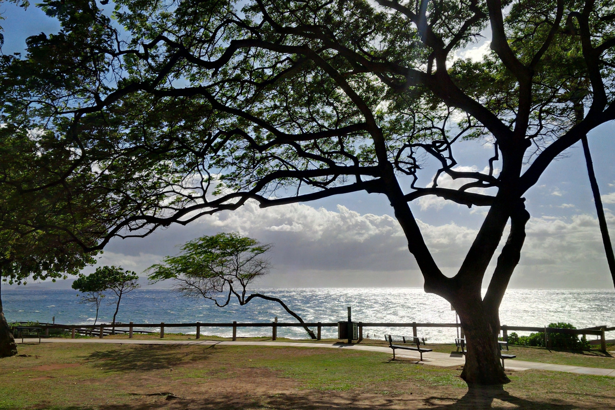 Kamaole 3 beach park is a short 3 minute walk away