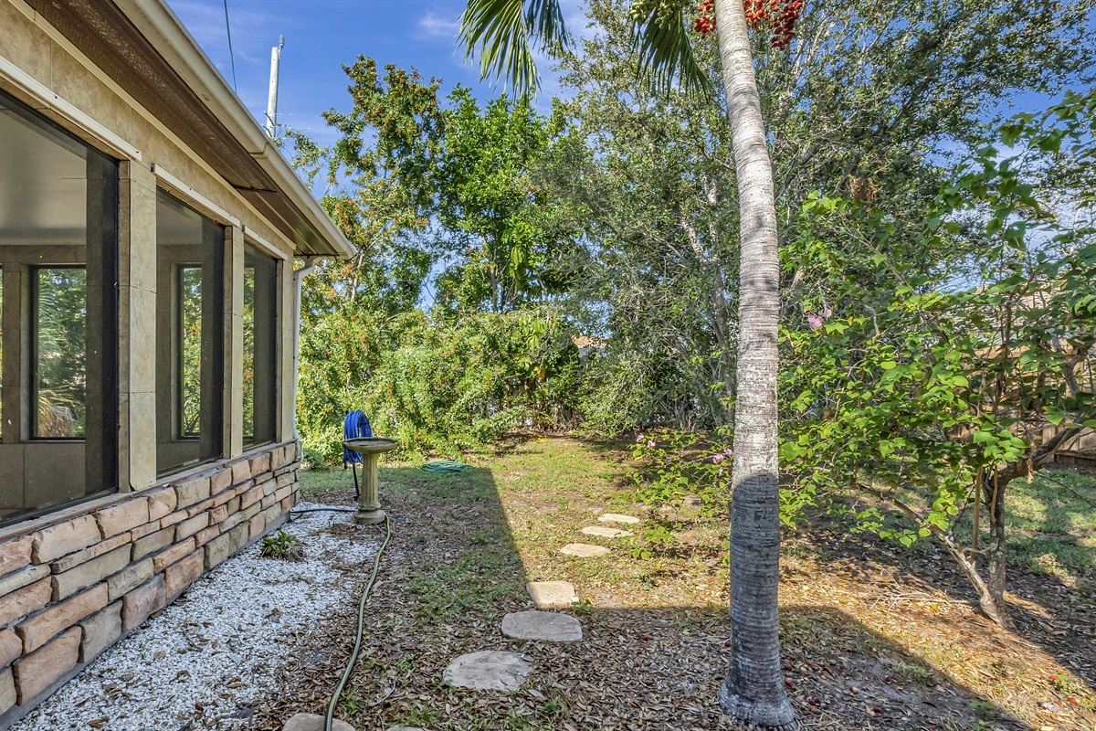 Surrounded by green, lush vegetation