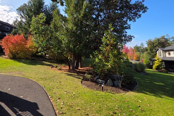 The grounds outside front door of #413.