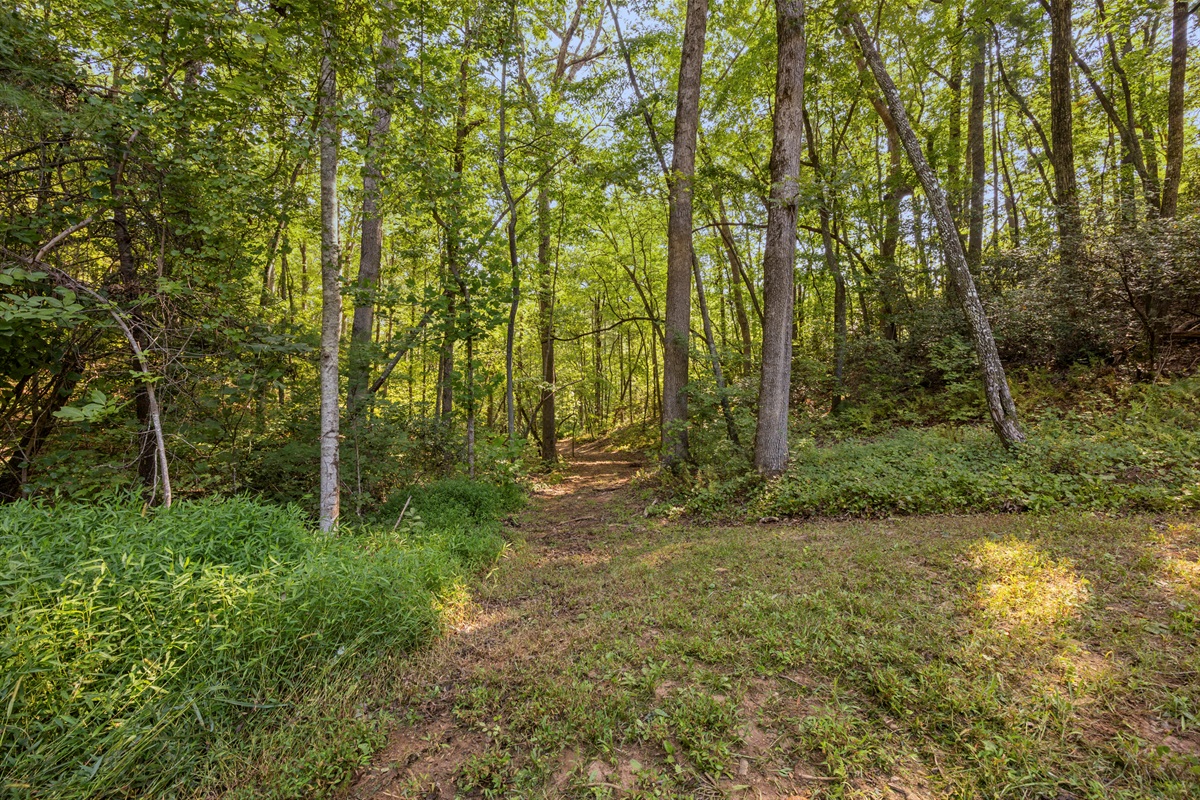 Wander the wooded trails and open spaces across 8 acres of private mountain land.