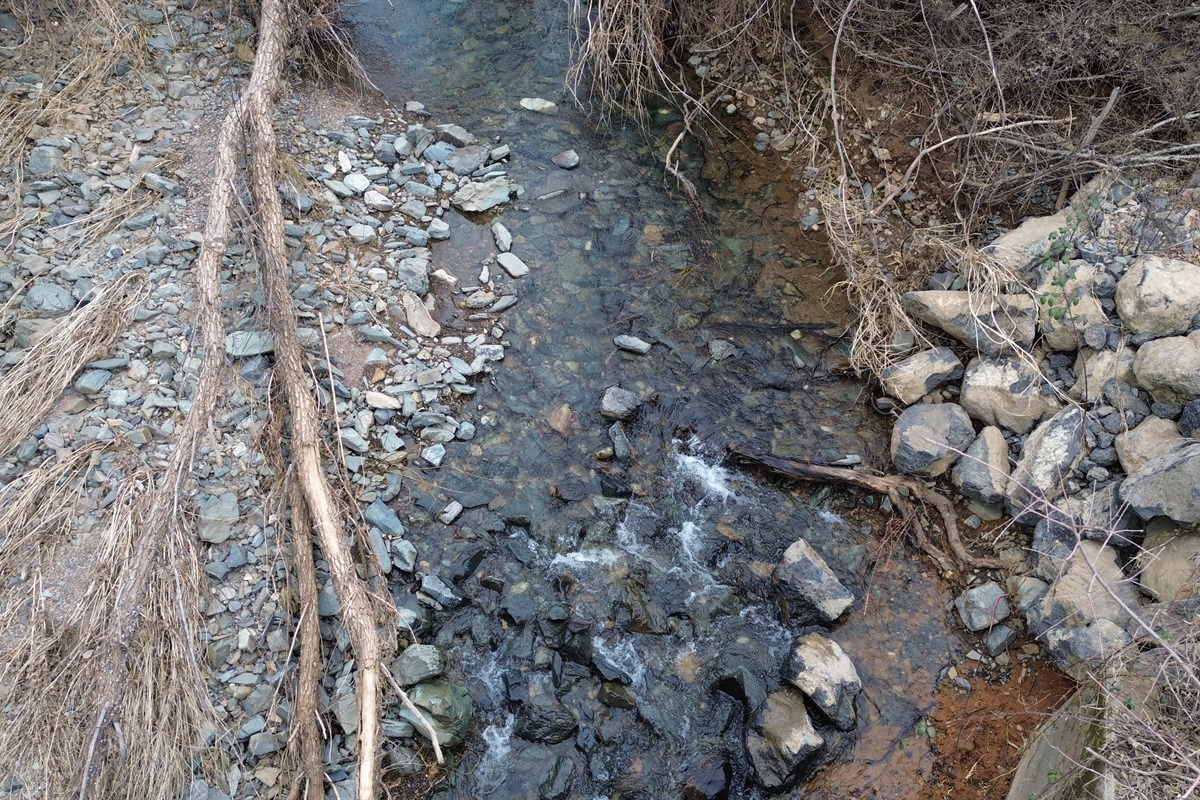 Creek#1: walkable distance from the property, seasonal