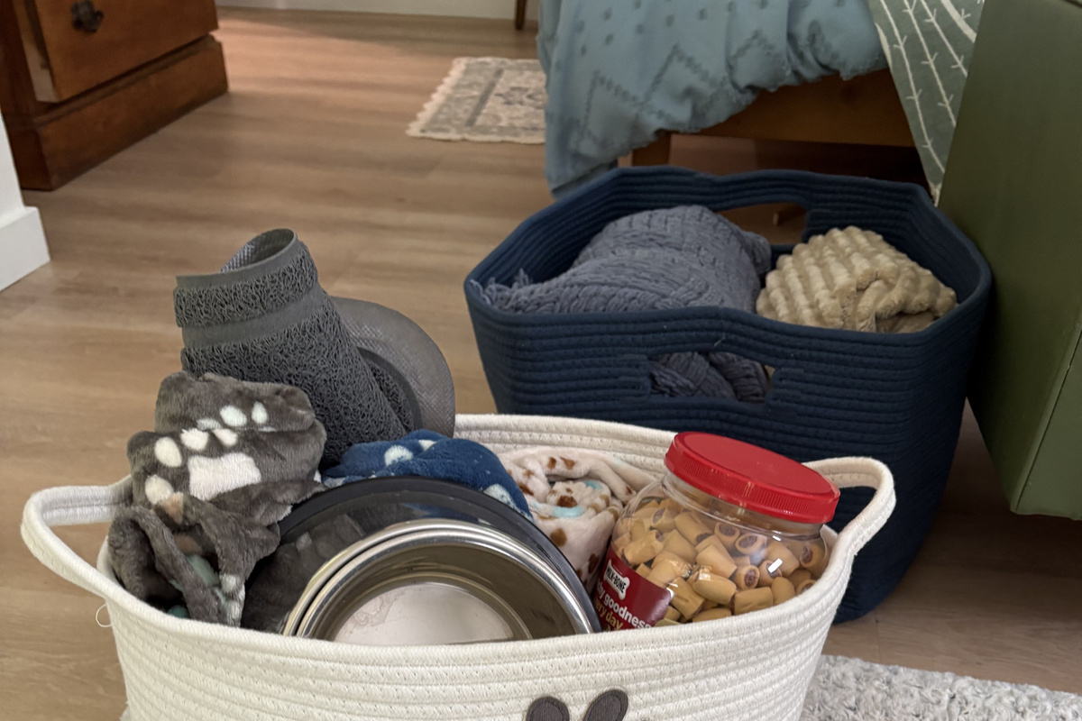 We're dog friendly! We provide doggy bowls, blankets, and mats for your pups :) 