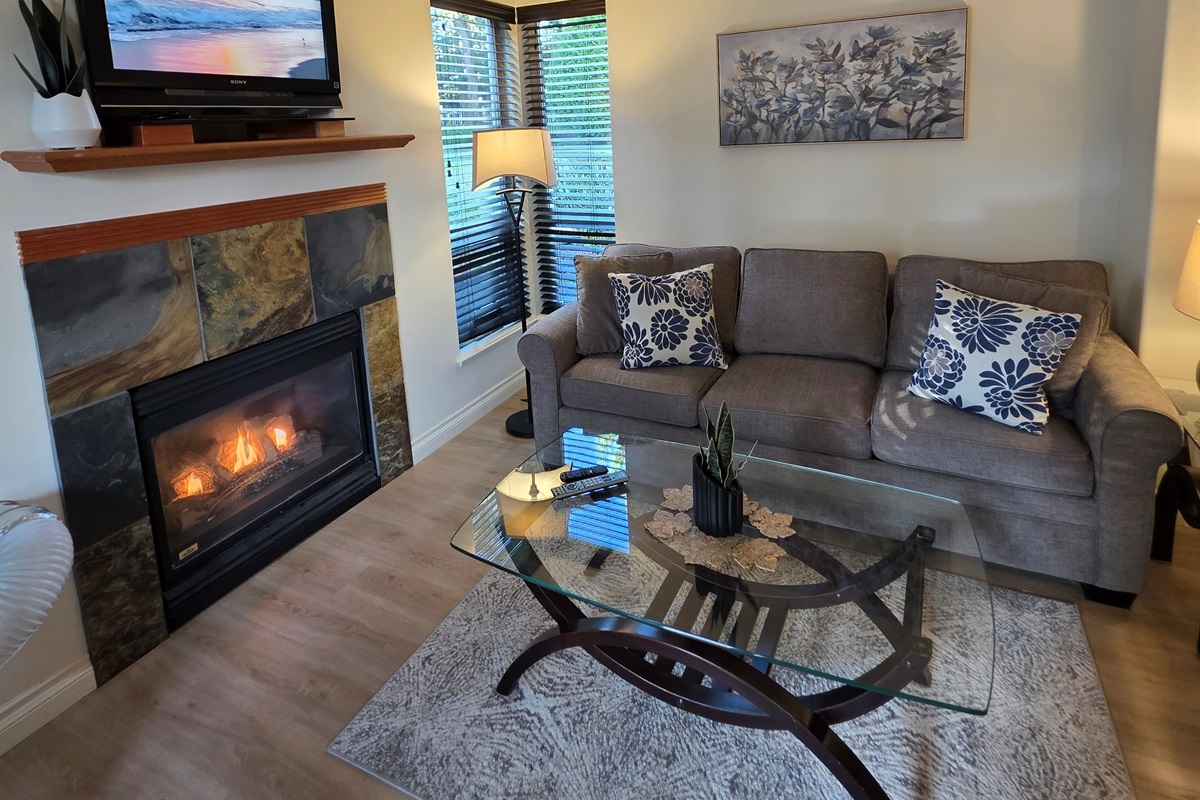 Main Floor. Streaming TV. Double glass doors. AC unit / natural gas fireplace. Covered Patio. Open concept. Roomy and spacious. Queen pull out sofa for extra Guests.