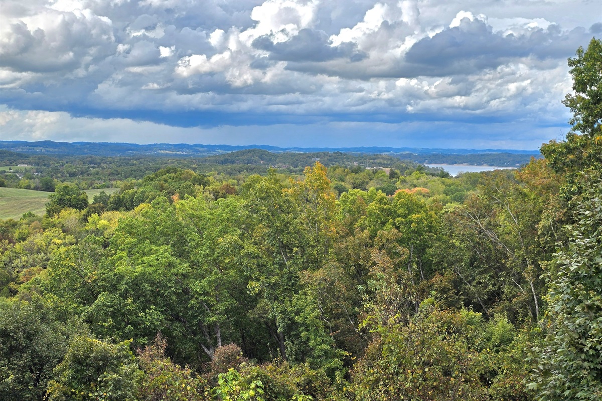 View from Back Deck