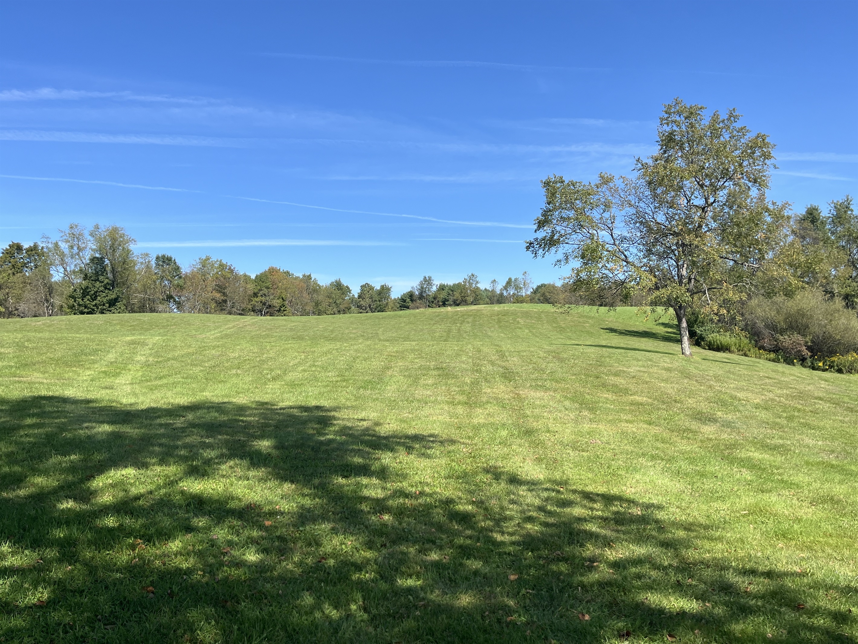 Large lawns and walking trails