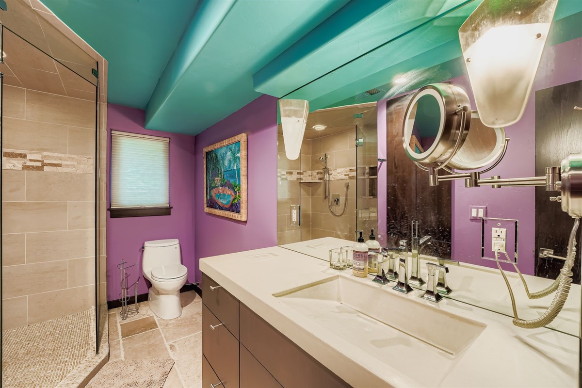 Lower level bathroom