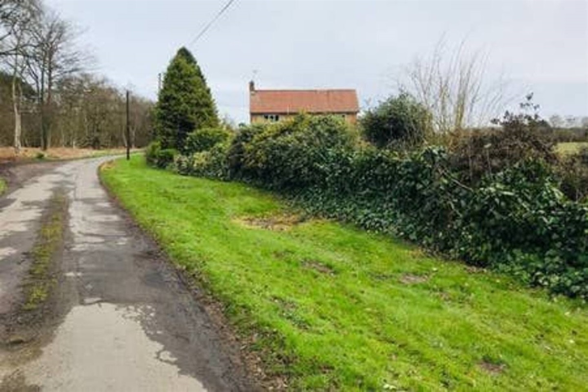 The country lane leading to the house
