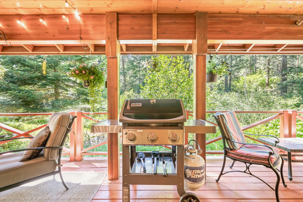 Propane BBQ on back covered porch