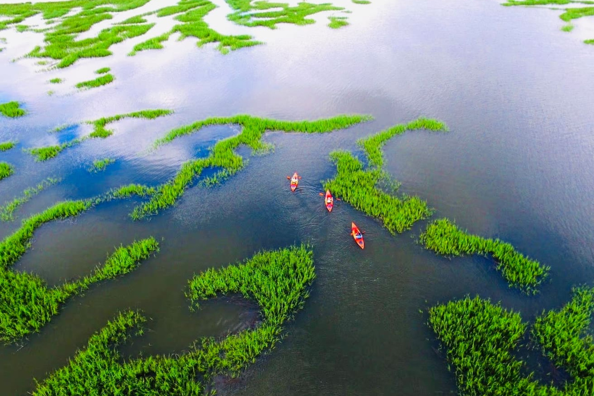 Kayaking the salt marsh