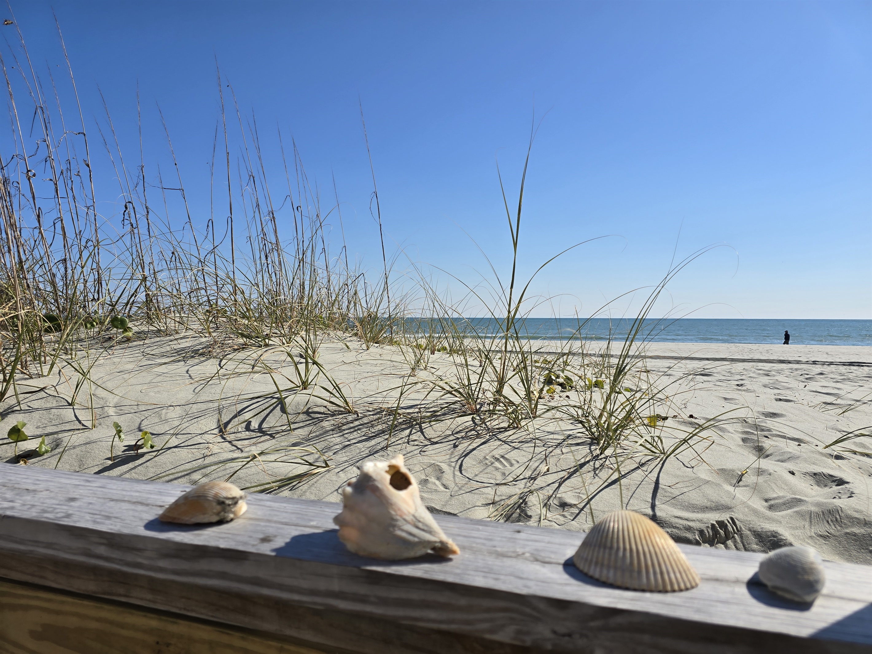 Home at the Beach