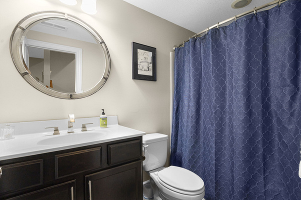 Basement Bathroom