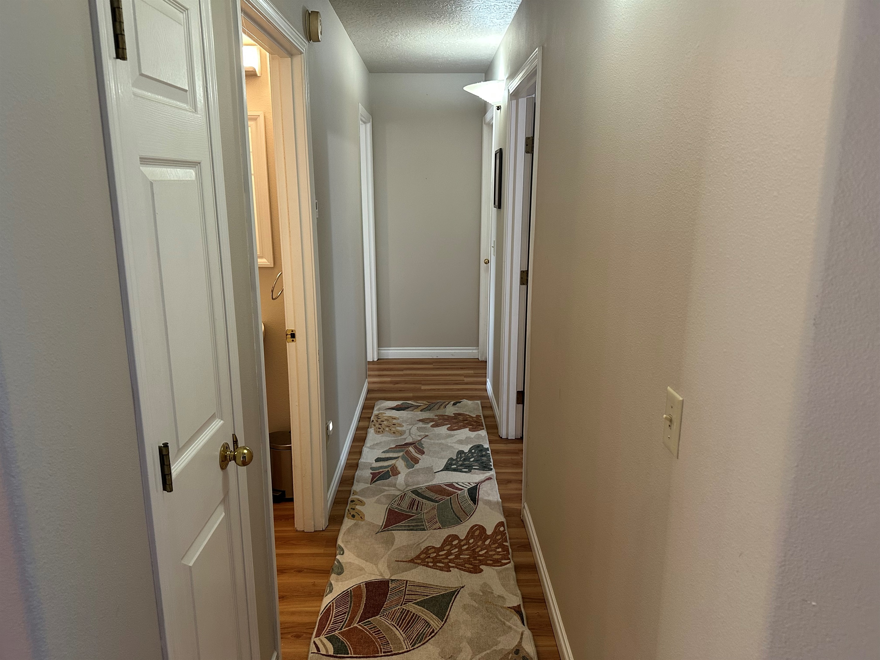 Hall from Living Area